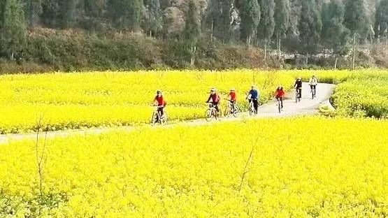 3月云南，这里最值得去！