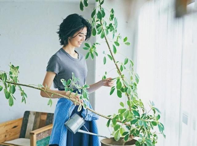  【主妇】日本主妇的“优雅穿搭”：利用简单配色法，穿出一身简约气质