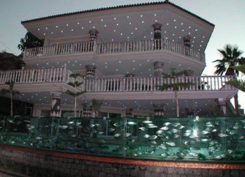 用水族箱做围墙的富商，才是真有钱人