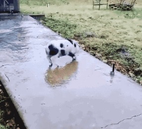 又要“冻上”了？！贵州有大到暴雨