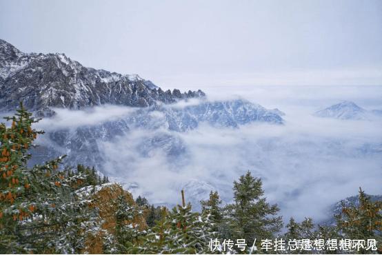 宁夏这家景区今冬对陕西游客免门票