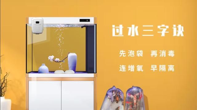  『环境会』养鲤正能量—新入锦鲤存活率不高怎么办？资深鱼友：过水很重要