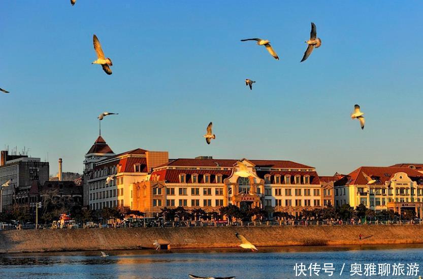 山东正在修建一条地铁，30.7km设站25座，标识色绿色