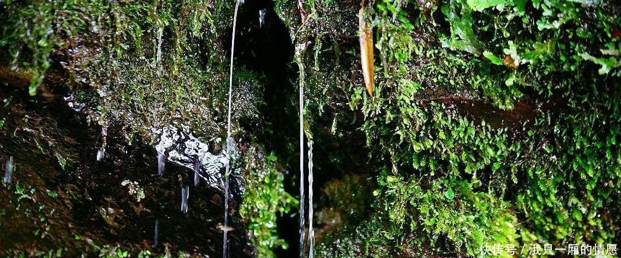 西安出发4个多小时到达, 山水相依, 如入仙境, 誉为陕南的九寨沟