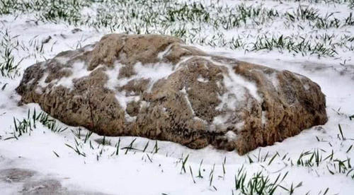 中国最小的山，60厘米高，网友吐槽：小学生都能跳过去