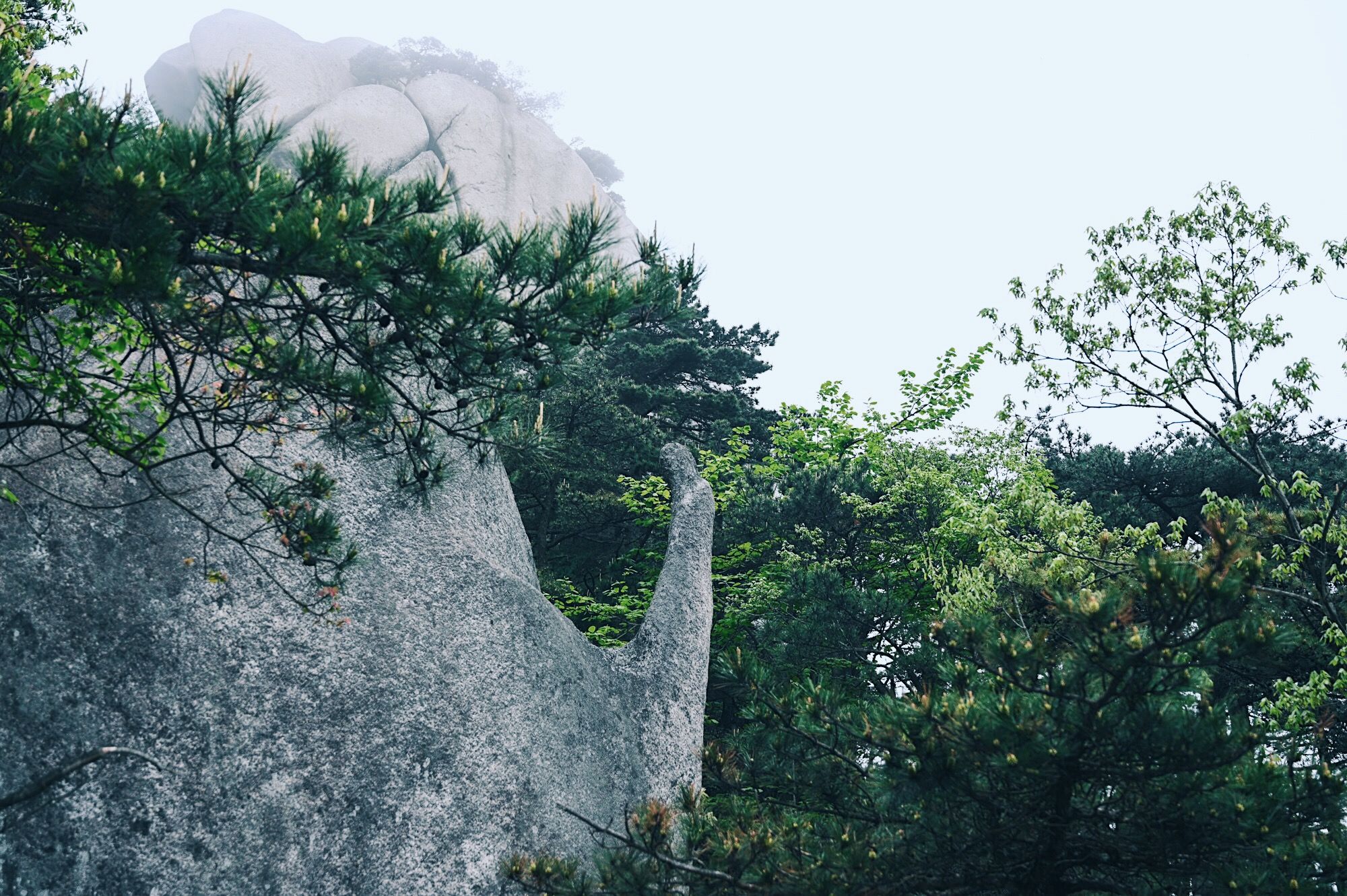 走进北纬30°的天柱山，一处风光秀丽又神秘的地方