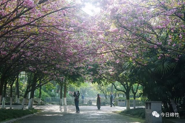  『见熟悉的绵竹』你熟悉的绵竹，又回来了
