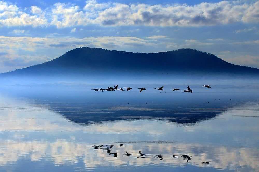 “小城市”为何引来“远方客”？