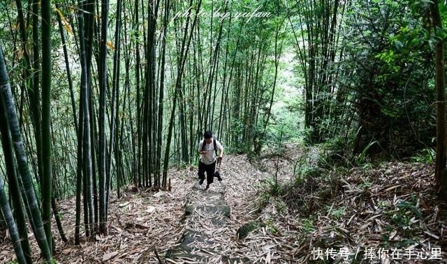 徒步赤水古盐道,偶遇令人惊艳的瀑布奇观