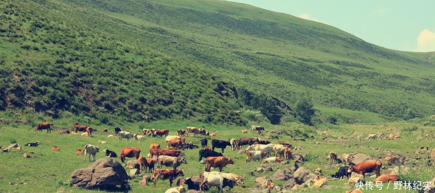 从良田变成荒漠，再从荒漠变成绿洲，这其中到底经历了什么