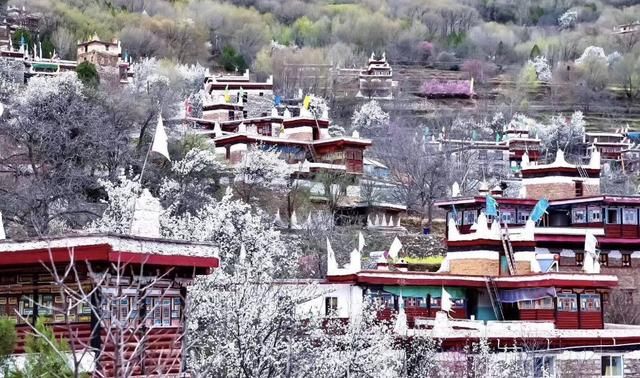 美过婺源!国内最适合全家游自驾赏花地,不收门票,美的鲜为人知