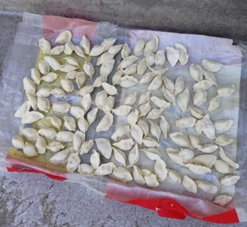  不少@东北版“速冻饺子”场面震撼，“天然冰箱”引南方人羡慕：