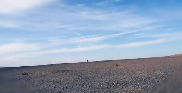 来敦煌的14件事，你体验了几件？