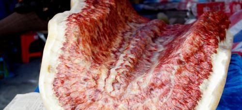 山东农民深山发现半边“猪肉”，拉城里开价108万叫卖，卖了吗？