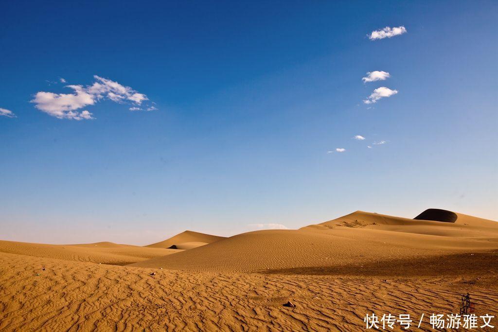 你在蚂蚁森林种的树现在怎么样了 这种结果连投资者马云也料不到