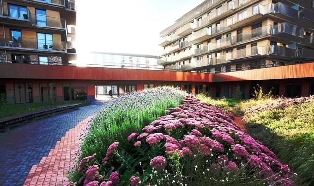  『景观』地被植物配置技巧