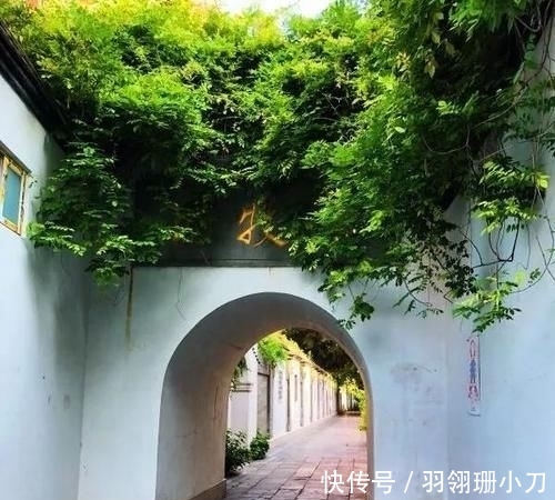  公共视频@鼓楼打造“一巷一长”福州样本 精细化管理文明城市