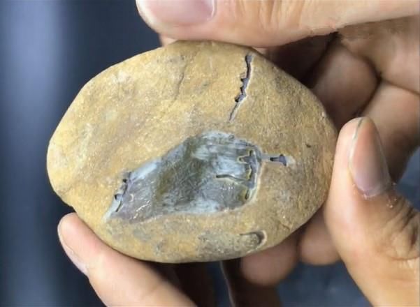 夜市2800淘了个“狗啃窗”原石，成品的蜕变反差太大惊艳众人!