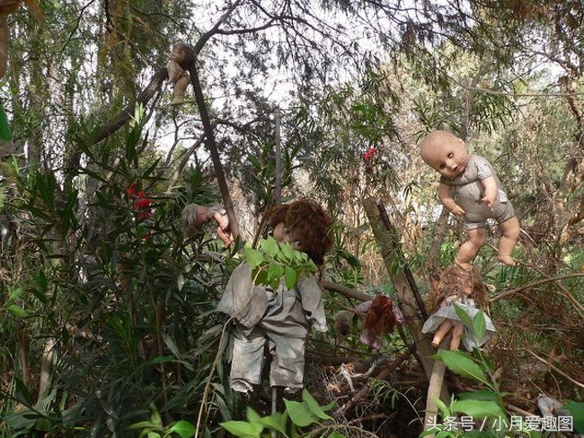 10张古怪的照片，很多根本无法理解