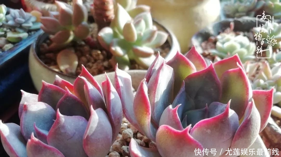  『那种』我爱的，就是你的存在！只要努力该来的都在路上！
