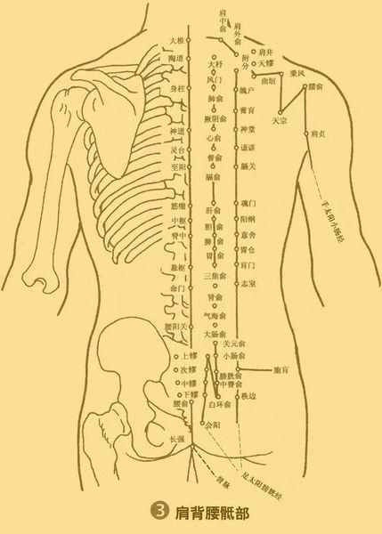 华佗夹脊穴与背俞穴有哪些不同?该如何定位?_【快资讯】