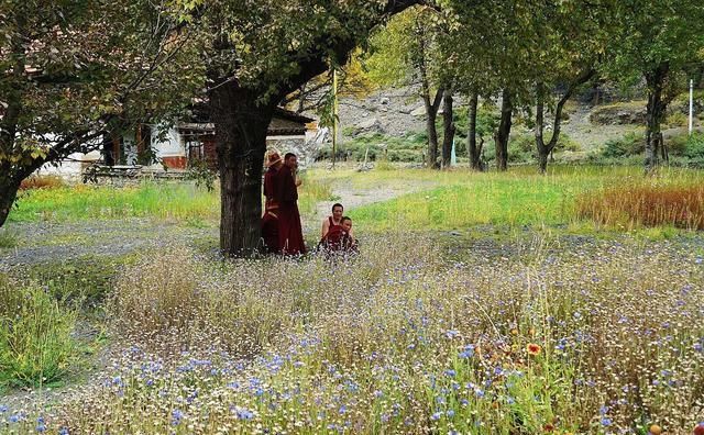 甲根坝：川西这处世外桃源秋景太美了，多处免门票绝色顶级风景