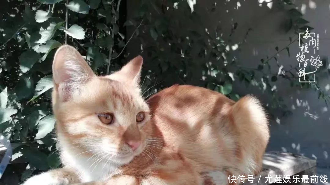  『那种』我爱的，就是你的存在！只要努力该来的都在路上！