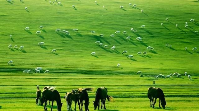 女人不能错过的8次旅行，每年去一个