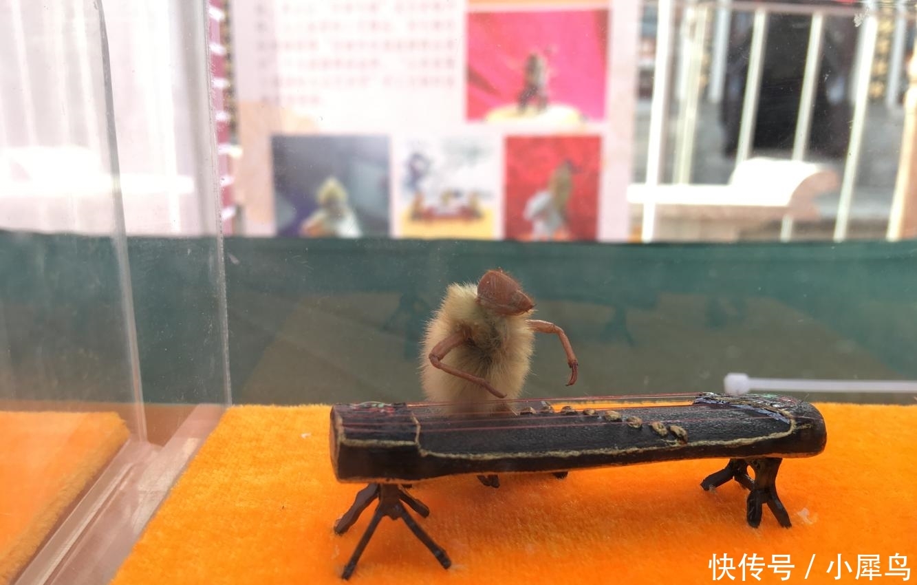 山东大叔用蝉蜕皮做“毛猴” 单个售价上百元却不售卖