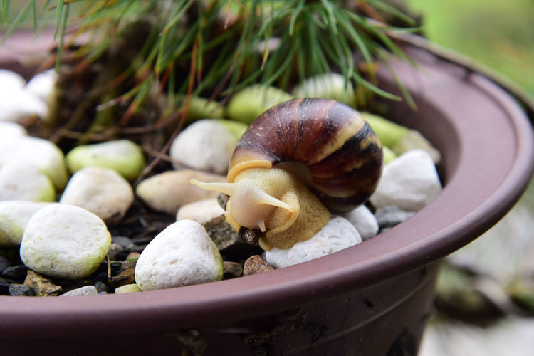  #齐名#它与鱼翅齐名，每亩利润高达万元，养殖的人却很少，农民