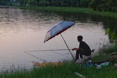  逻辑：钓鱼人常犯的四种逻辑错误：听上去很有道理，实际上荒诞至极