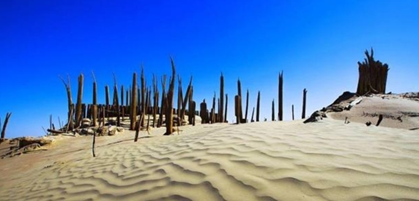 中国在此地找到宝藏，赢得世界话语权，国人受鼓舞，打脸世界各国