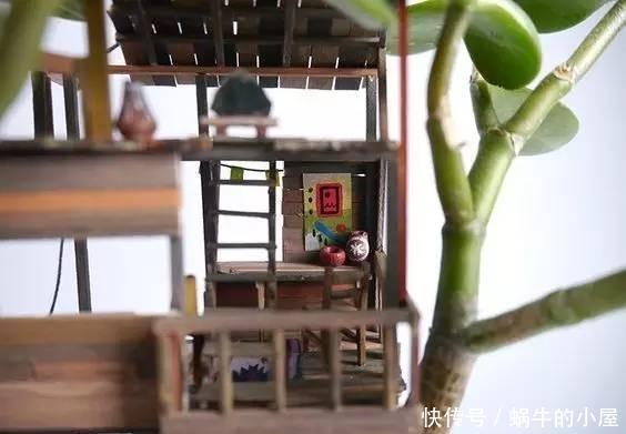 盆栽|她在盆栽上放了这个,家里瞬间活了起来!