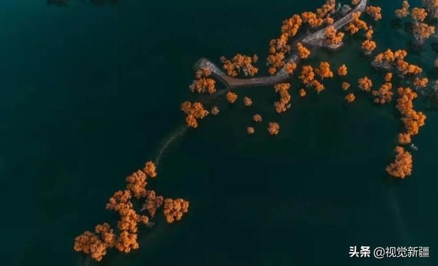 大山 沙漠 湖泊 金胡杨是大自然最完美的构图