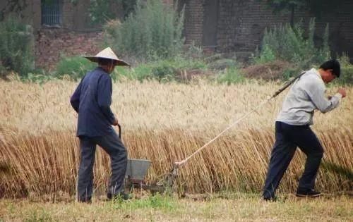  [勤劳]中国农民！世界上最勤劳、最可爱的人！