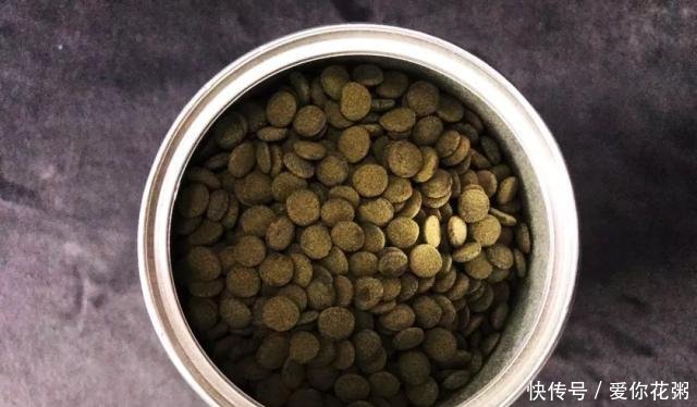 「虾红素」养鱼达人,要不要自己动手做鱼粮