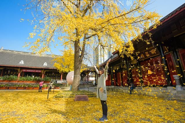 为何重庆国庆游客是成都两倍，收入却少100亿，网友们的答案亮了