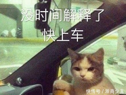 「友们」谁能想到赵雅芝表面优雅,背地里却是个铁憨憨…