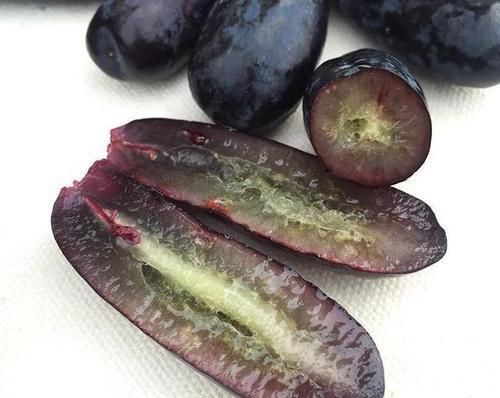  「绿萝」绿萝扔了吧！此果树1年结果100斤，浇水就长，院子种2棵