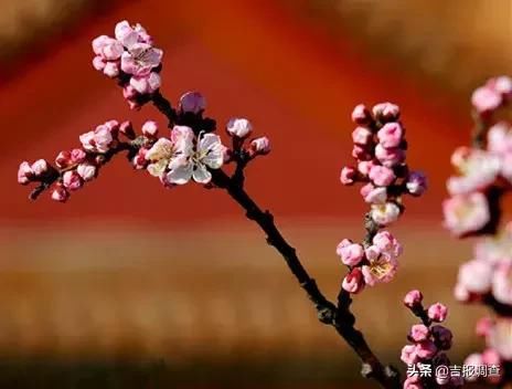 3月最佳旅行地榜单:十大绝美仙境，春暖花开美到窒息!