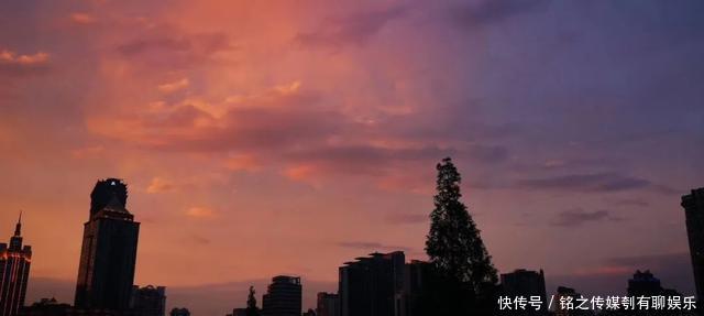 平均气温大于22℃:昨天,上海因为它登上热搜!美到窒息……