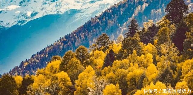 别错过秋天的林芝，景色堪比喀纳斯，最不该错过秋色童话世界