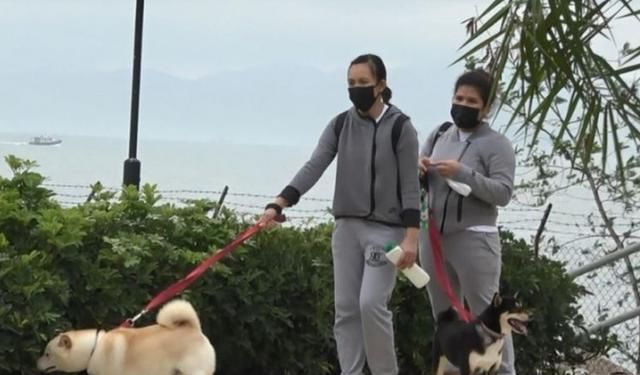  「男子」关之琳与男子出门遛狗有说有笑，她终于过上了18岁向往的生活