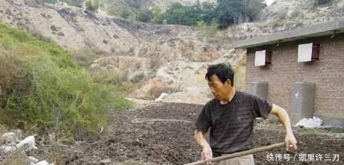  天然的有机|农户都会用的有机肥，如今却被禁用，鸡粪不腐熟的影响你都知道吗