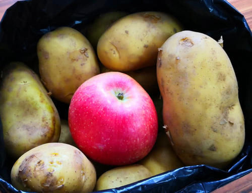  苹果@刚知道，保存土豆竟这么简单！3个土方法，放半年不变绿不