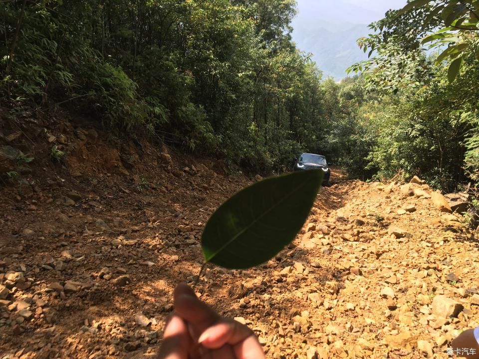 全新一代路虎发现揽胜在翁源穿越丛林挑战大坡开心的越野之旅