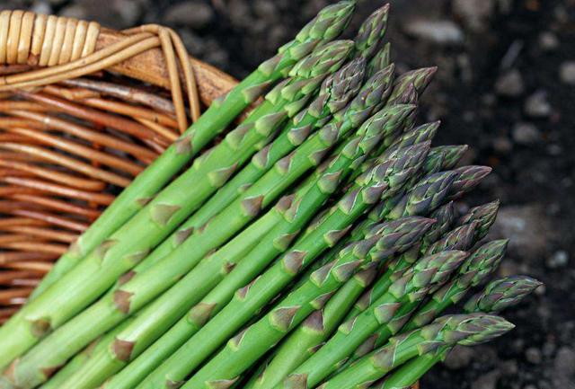 山东一个单字县,与河南接壤,是山东人口最多的