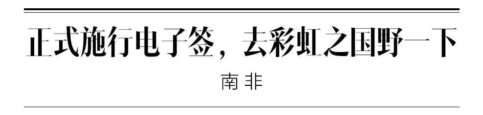 年末再添电子签，12月旅行不要停