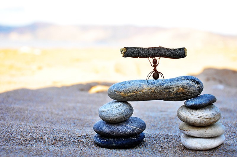 天下正品浅析大数据母婴智慧营销方案