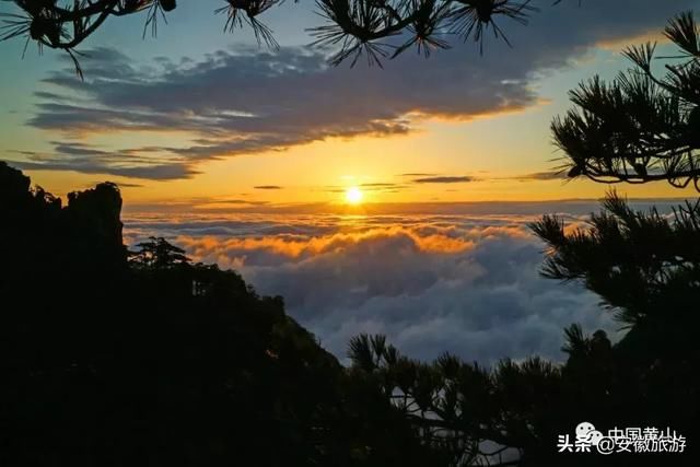万物悄然复苏，黄山等你来游